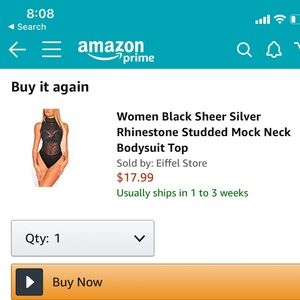 Sheer rhinestoned body suit